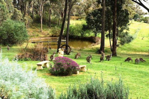 Countryside Connections Tranquil Studio - Accommodation Great Ocean Road 0