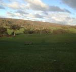 Mancuso Country Cottage Retreat - Accommodation Great Ocean Road