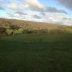 Mancuso Country Cottage Retreat - Accommodation Great Ocean Road 0
