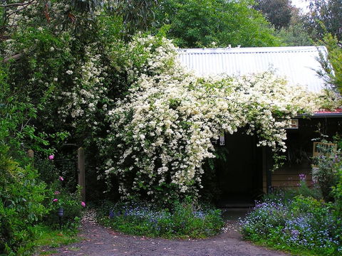 Lemonade Creek Cottages - Accommodation Great Ocean Road 4