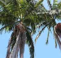 Tri Byron Bay - Accommodation Great Ocean Road