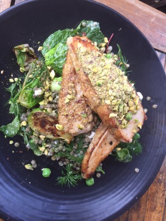 The Pond Cafe - Accommodation Great Ocean Road 0