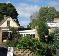 Tipsy Fig - Accommodation Great Ocean Road