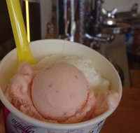 Bermagui Gelati Clinic - Accommodation Great Ocean Road