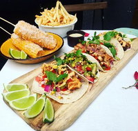 Chihuahua - Accommodation Great Ocean Road