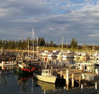 Horse  Camel - Accommodation Great Ocean Road
