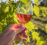 Breakfast Creek Vineyard - Accommodation Great Ocean Road