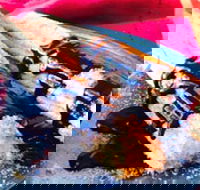 Donut King - Blackburn - Accommodation Great Ocean Road