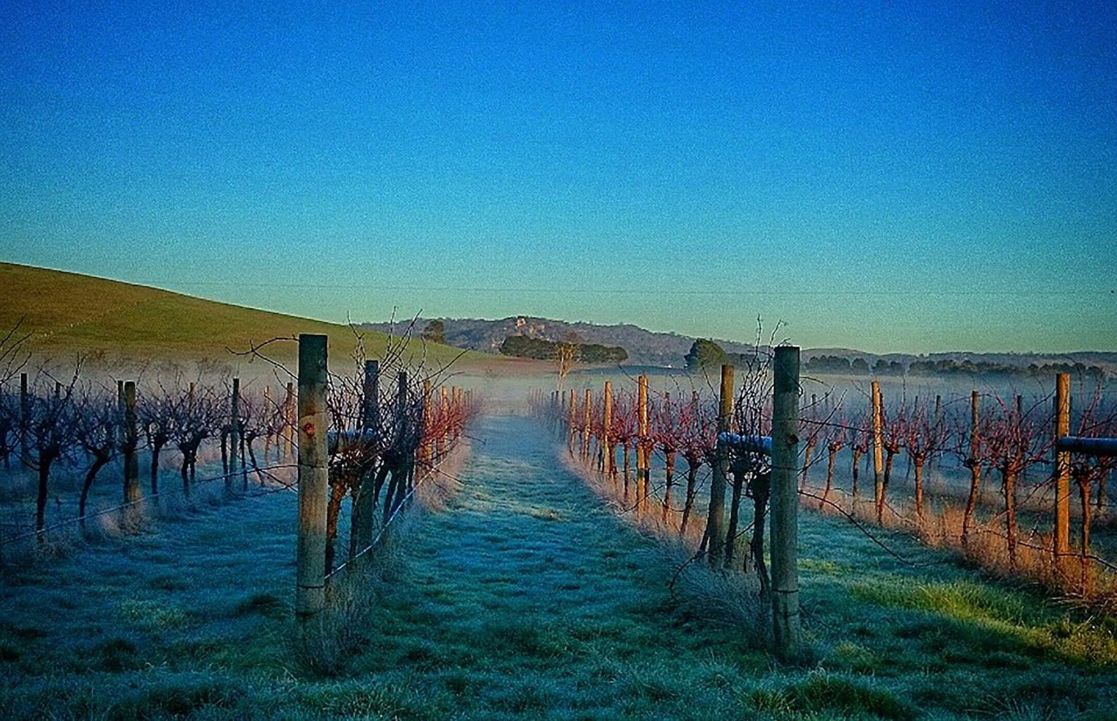 Ascot VIC Accommodation Great Ocean Road