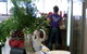 Food Angel Cafe - thumb 1