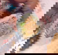 Quiksilver Bar 61 - Accommodation Great Ocean Road