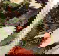 Ragazzi - Accommodation Great Ocean Road