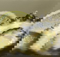 Pearly Oyster Bar and Farm - Accommodation Great Ocean Road