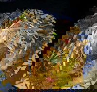 Blue Orchid Thai - Accommodation Great Ocean Road