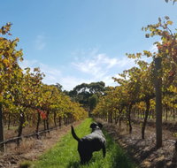 Ruddenklau Wines - Accommodation Great Ocean Road