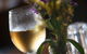 Terrace Bar - thumb 2