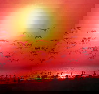 TINH and LAN Vietnamese Restaurant - Accommodation Great Ocean Road