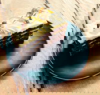 Veruca Salt - Accommodation Great Ocean Road