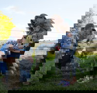 Sunhill Dairy Goats and Sunhill Skin Essentials - Accommodation Great Ocean Road