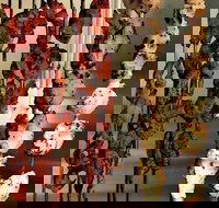 The Spice Yard - Accommodation Great Ocean Road