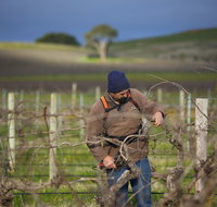 Kurtz Family Vineyards - Accommodation Great Ocean Road