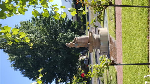 Michelini Wines - Accommodation Great Ocean Road 1