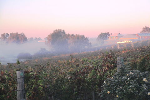 Sittella Winery & Restaurant - Accommodation Great Ocean Road 1