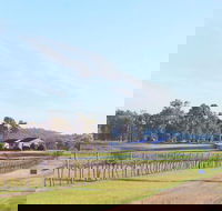 Blacklea Vineyard and Olive Grove - Accommodation Great Ocean Road