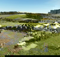 Montalto - Accommodation Great Ocean Road