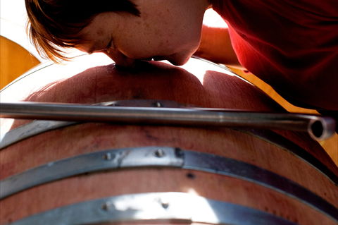 Yarrh Wines - Accommodation Great Ocean Road 2