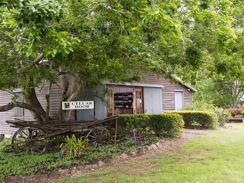 Clovely Estate Vineyard Cellar Door - Accommodation Great Ocean Road 1