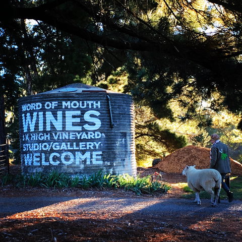 Word Of Mouth Wines - Accommodation Great Ocean Road 1