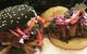 La Baracca Espresso Bar & Trattoria - thumb 0