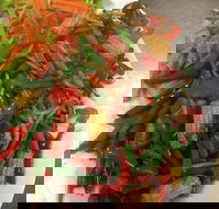 Bua Thong Armidale - Accommodation Great Ocean Road