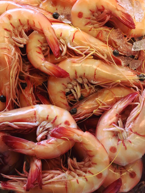 Fraser Shores Seafood - Accommodation Great Ocean Road 4