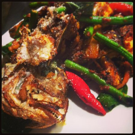 Byron Bay NSW Accommodation Great Ocean Road