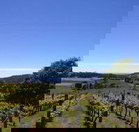 Barringwood Vineyard and Cellar Door Restaurant - Accommodation Great Ocean Road