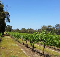 Stringybark Cottage Winery  Restaurant - Accommodation Great Ocean Road
