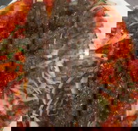 Jannah Charcoal Chicken - Accommodation Great Ocean Road