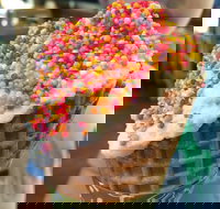 Brew  Scoop - Accommodation Great Ocean Road