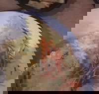 Mount Isa Irish Club - Accommodation Great Ocean Road