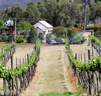 Prendergasts Irish Tavern - Accommodation Great Ocean Road