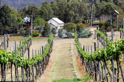 Prendergasts Irish Tavern - Accommodation Great Ocean Road 0