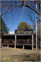 Prendergasts Irish Tavern - Accommodation Great Ocean Road 3