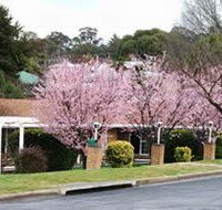 White Lanterns Motel - Accommodation Great Ocean Road