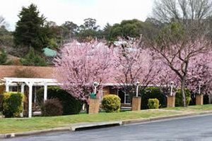 White Lanterns Motel - Accommodation Great Ocean Road 0