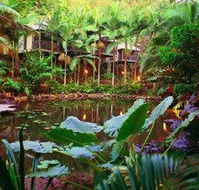 Daintree Eco Lodge  Spa - Accommodation Great Ocean Road