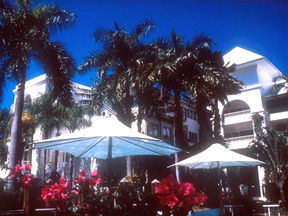 Alamanda Palm Cove - Accommodation Great Ocean Road 1