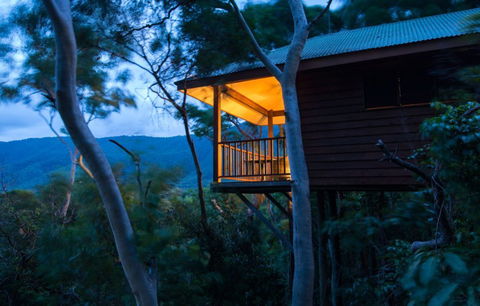 Thala Beach Nature Reserve - Accommodation Great Ocean Road 0