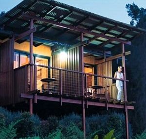 O'Reilly's Rainforest Guesthouse - Accommodation Great Ocean Road 1